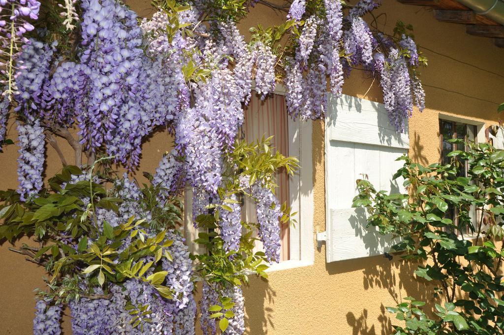 B&B La Cerisaie Francheleins ภายนอก รูปภาพ