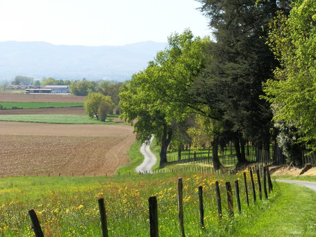 B&B La Cerisaie Francheleins ภายนอก รูปภาพ